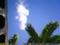 seahorsecloud.webp seahorsecloud.webp